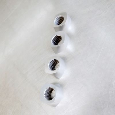 ZSE50 vis spéciale Segement, bloc de malaxage Φ15.6 - chaîne de vis de Φ430mm