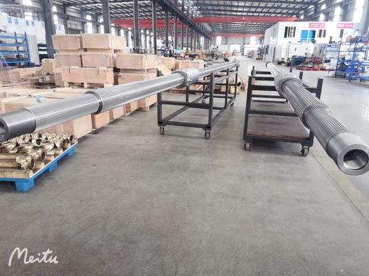 Extrudeuses à double vis en plastique pour roulements à froid Parties ZE55 pour aliments en PET pulvérisés